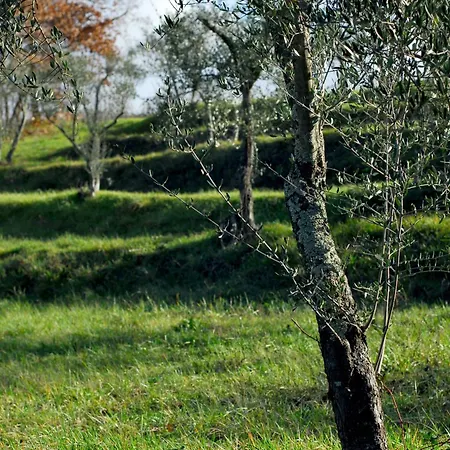 Parco Fiorito *