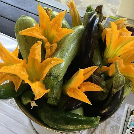 Séjour à la ferme Parco Fiorito *